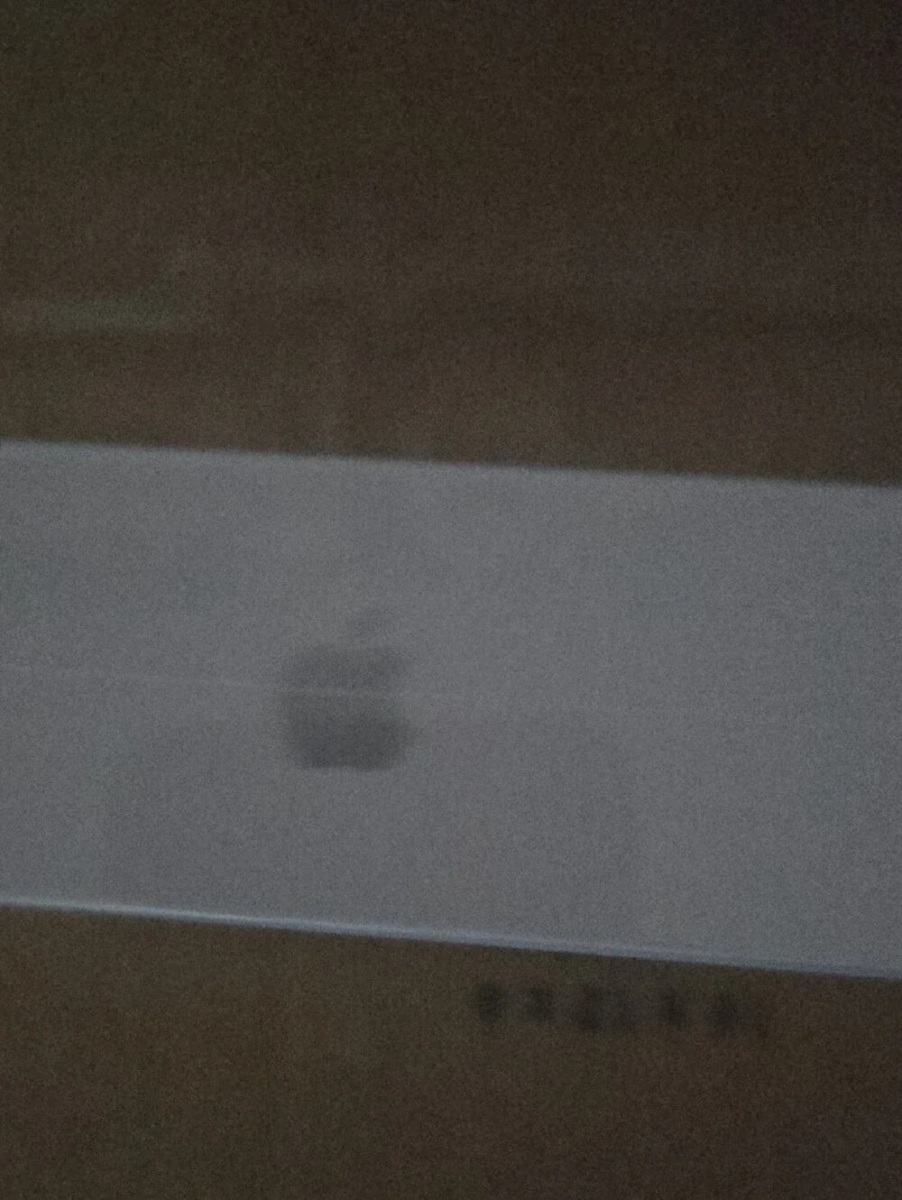 Apple AirPods with Charging Case - White Box Label